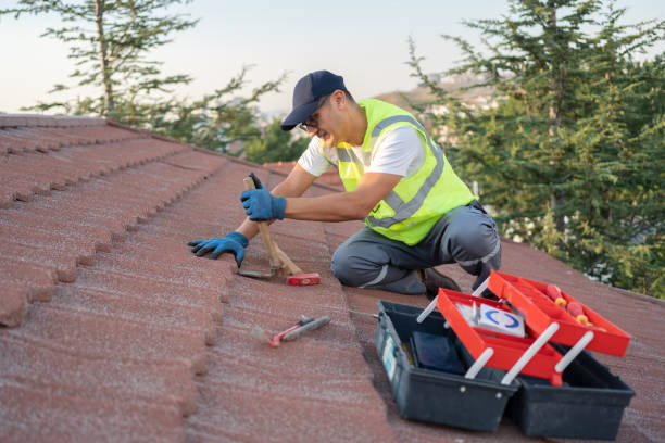 Best Roof Waterproofing Services  in Center Line, MI