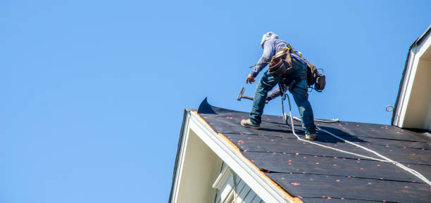 Best Metal Roofing Contractor  in Center Line, MI